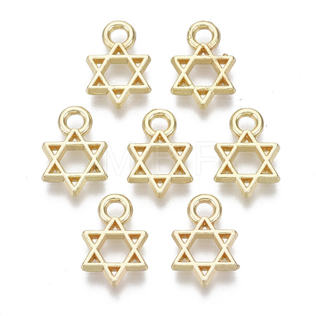 Alloy Charms PALLOY-S132-084-1