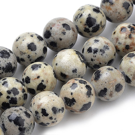 Natural Dalmatian Jasper Beads Strands X-G-S259-24-8mm-1