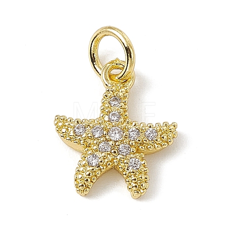 Brass Micro Pave Cubic Zirconia Charms ZIRC-F132-13G-1