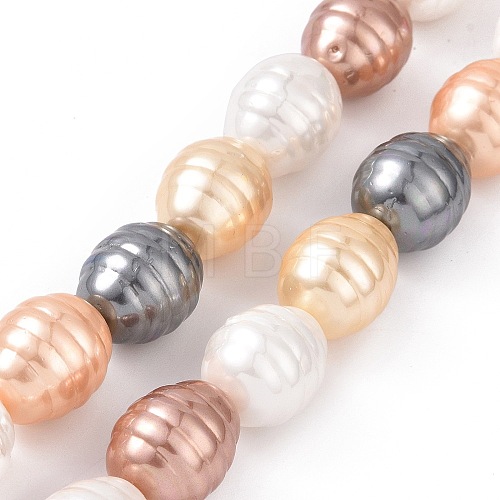 Electroplate Shell Pearl Beads Strands BSHE-O019-02G-1