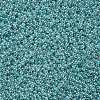 12/0 Grade A Round Glass Seed Beads SEED-N001-B-920-2