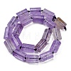 Natural Amethyst Beads Strands G-G162-D04-02-3