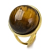 Round Natural Tiger Eye Finger Rings RJEW-Q822-54G-01-1