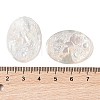 Natural White Shell Cabochons SSHEL-C012-02-3