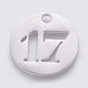 Non-Tarnish 304 Stainless Steel Pendants X-STAS-F233-17-P-1