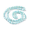 Faceted Electroplated Glass Beads Strands GLAA-G092-D05-3
