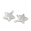 304 Stainless Steel Pendants STAS-S186-01B-P-2