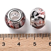 Transparent Two-Color Brass Cores Acrylic European Beads OACR-M024-05P-02-3