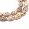 Natural Picture Jasper Flat Oval Bead Strands G-M206-24-3