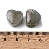 Natural Labradorite European Beads G-C269-01I-3