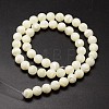 Shell Beads Strands SSHEL-E571-39-4mm-2
