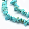 Synthetic Turquoise Beads Strands G-P332-24B-2