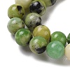 Natural Serpentine Bead Strands G-N166-4-1-4