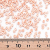 8/0 Opaque Glass Seed Beads X1-SEED-S048-N-013-4