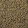 TOHO Round Seed Beads X-SEED-TR08-0390-2