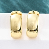 Brass Hoop Earrings EJEW-Q015-21A-G-2