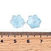 Glass Beads GLAA-D303-04-3