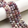Natural Purple Red Tourmaline  Beads Strands G-N327-02A-01-7