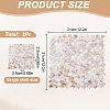 2Pcs Shell Cabochons Sheets AJEW-GO0002-11-2