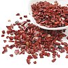 Natural Red Jasper Chips Beads X-G-O103-24-1