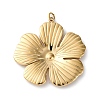 316 Surgical Stainless Steel Pendants STAS-K258-43B-G-1