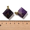 Natural Amethyst Perfume Bottle Pendants G-Z039-05G-06-3