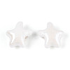 Handmade Porcelain Beads PORC-Q002-03B-01-2
