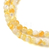 Natural Yellow Shell Beads Strands SHEL-M021-03A-3