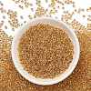 TOHO 8/0 Round Beads SEED-TR08-0701-2