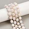 Natural White Moonstone Beads Strands G-N342-149I-13-1