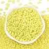 Baking Paint Glass Seed Beads SEED-L011-09A-20-2