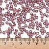 TOHO 6/0 Round Beads SEED-TR06-0166B-4