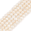 Natural Cultured Freshwater Pearl Beads Strands PEAR-P064-19D-07A-2