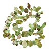 Natural Chrysoprase Beads Strands GG-CBA3D9B-14A-3