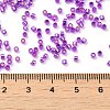 Glass Seed Beads SEED-S042-04B-20-4