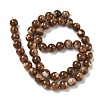 Natural Trochus Shell Beads Strands SH-CBAFEDD-02B-4