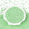 8/0 Baking Paint Glass Round Seed Beads SEED-S036-01B-02-2