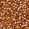 Silver Lined Glass Seed Beads SEED-T007-18A-12-3