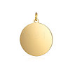 Ion Plating(IP) 304 Stainless Steel Pendants STAS-I311-33G-G-1