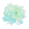 Transparent Acrylic Beads OACR-H039-04G-1