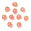 Resin Beads RESI-CJC0027-12-8