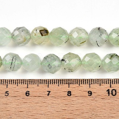 Natural Prehnite Beads Strands G-S345-10mm-28-1