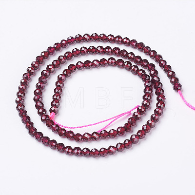 Natural Garnet Beads Strands LS-G-D167-B-3mm-1