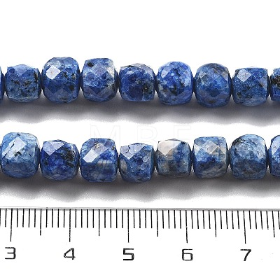 Dyed Natural Sesame Jasper Beads Strands G-C179-B02-01-1