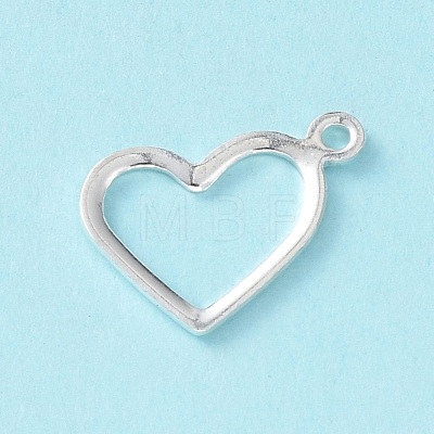 304 Stainless Steel Charms STAS-P227-23S-1