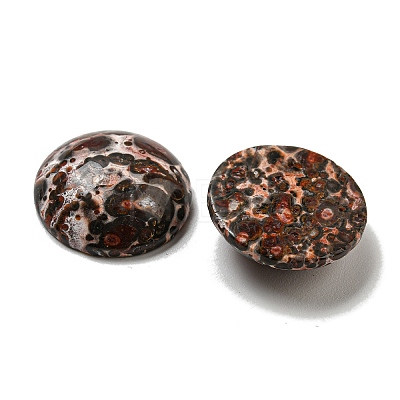 Natural Leopard Skin Jasper Cabochons G-C115-02A-44-1