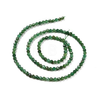 Natural Fuchsite Beads Strands X-G-C009-A13-1