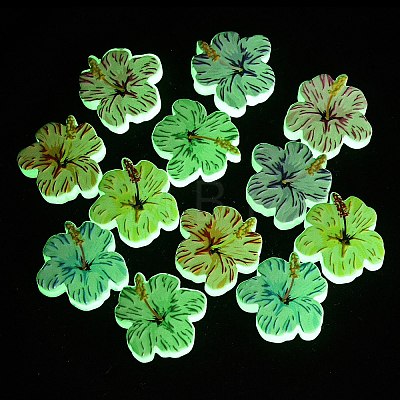 Luminous Printed Opaque Resin Beads RE-CBAC4C7-24-1