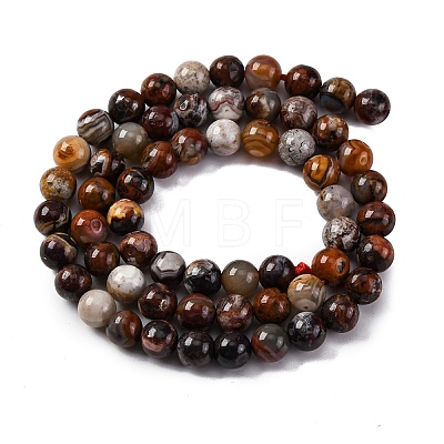 Natural Mexico Crazy Agate Beads Strands G-L615-A01-01-1