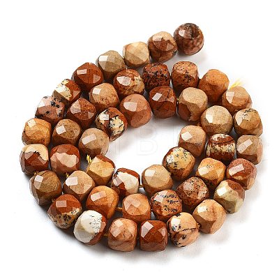 Natural Picture Jasper Beads Strands G-H028-A06-01-1